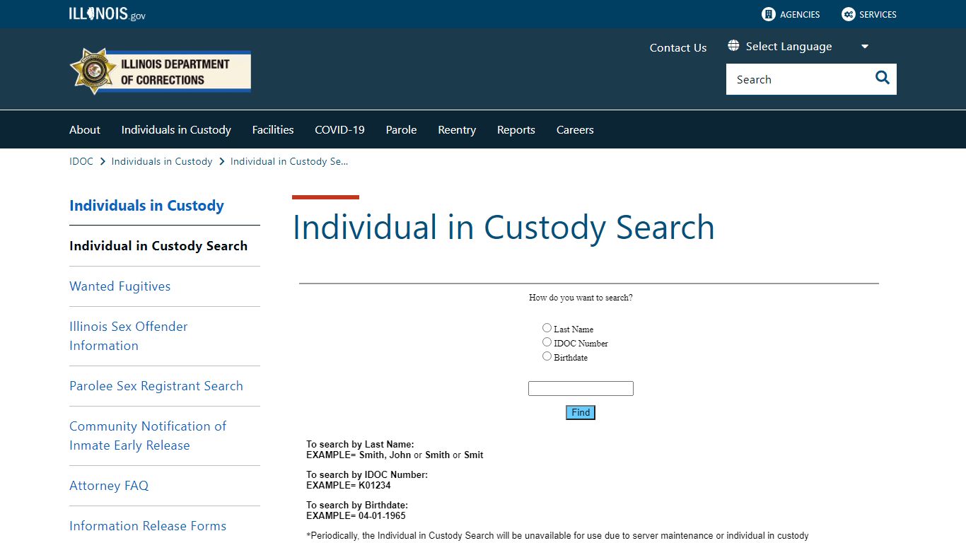 Individual in Custody Search - Illinois